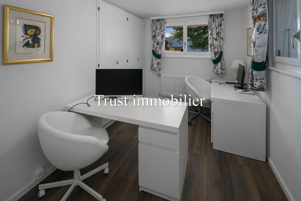 1002. Vue splendide sur les Alpes et grand potentiel 7