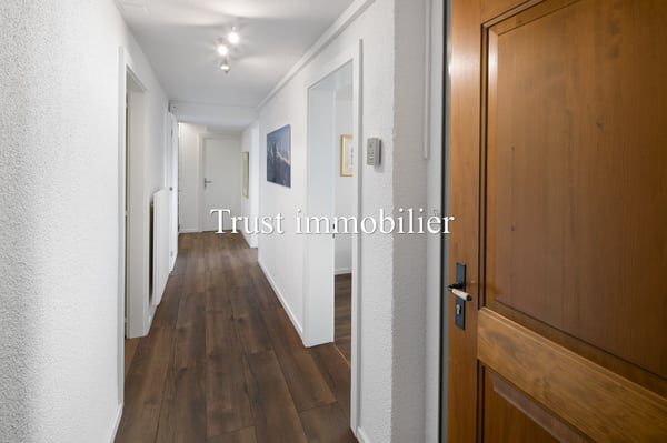 1002. Vue splendide sur les Alpes et grand potentiel 11