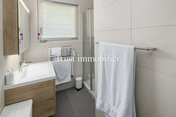 1002. Vue splendide sur les Alpes et grand potentiel 13