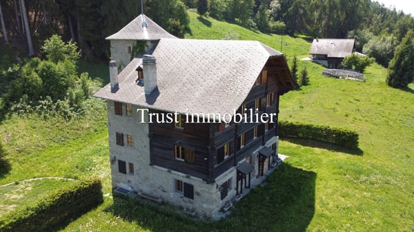 6009.Chalet / Château entièrement rénové. Les Mayens-de-Sion 12