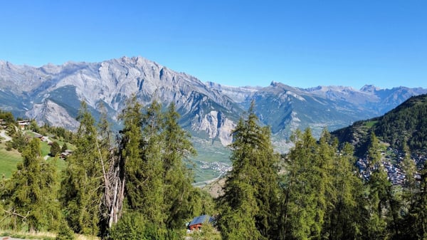 Parcelle prête à accueillir votre futur chalet à La Tzoumaz 5