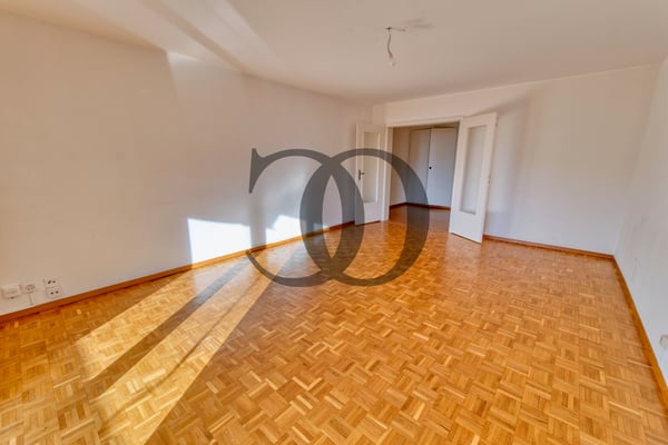 En exclusivité ! Appartement 1.5 pièces avec vue sur le lac 2