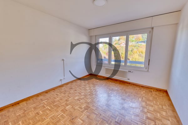 En exclusivité ! Appartement 1.5 pièces avec vue sur le lac 7