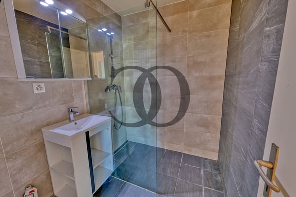 En exclusivité ! Appartement 1.5 pièces avec vue sur le lac 3