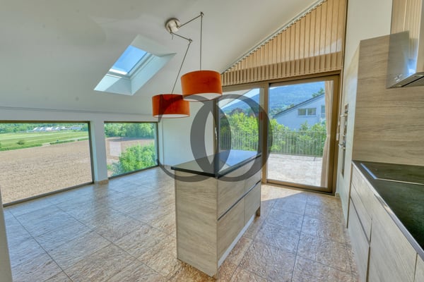 Magnifique villa moderne avec terrasses privatives et jardin 3