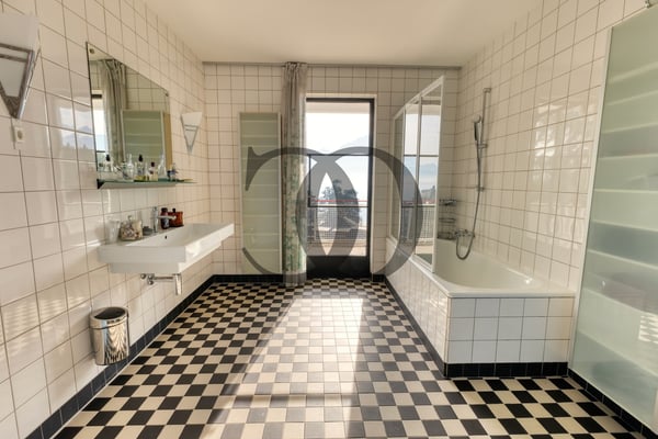 Villa de style Bauhaus 9