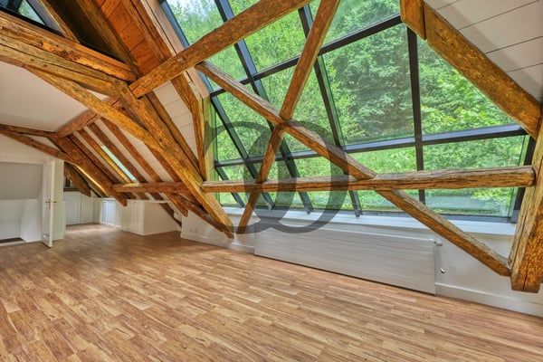 Magnifique maison aux Monts-de-Corsier rénovée en 2022 10