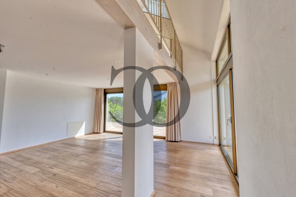 Magnifique villa moderne avec terrasses privatives et jardin 6