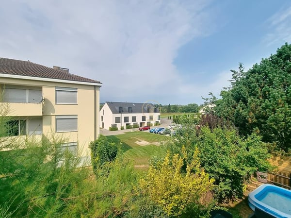 Palézieux village, appartement 1.5 pièces, possibilité d'une pièce supplémentaire 2