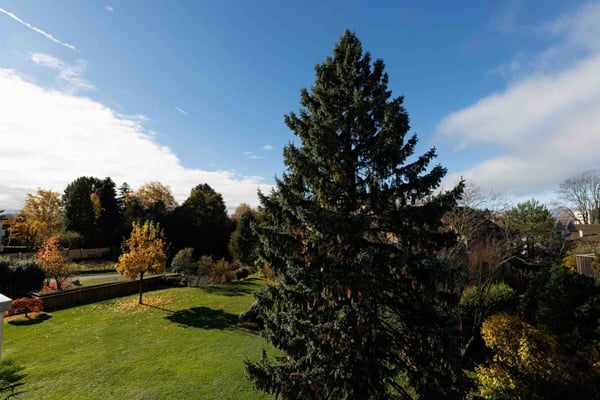 PORTES OUVERTES - LAUSANNE - Bel appartement 1.5 pces au calme 2