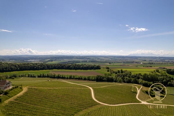 RANCES - belle ferme entièrement rénovée de 10 pièces avec parcelle jardin 4