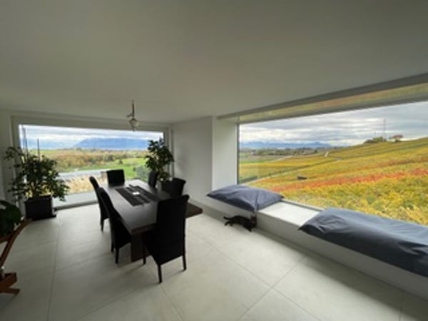 CLARMONT - Magnifique Villa d'architecte 8