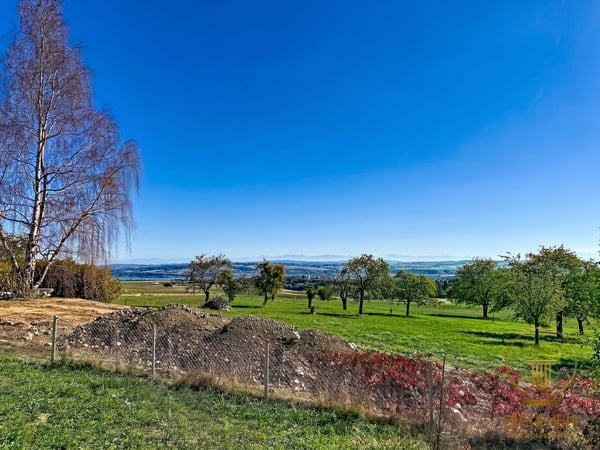 ORGES - immeuble de rendement de 6 appartements avec place-jardin et places de parc 7