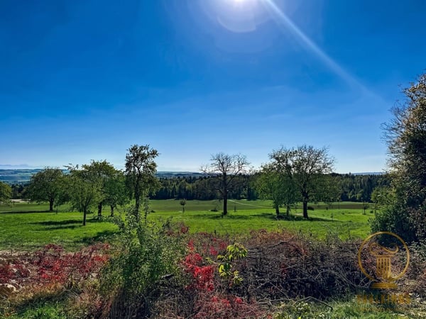 ORGES - immeuble de rendement de 6 appartements avec place-jardin et places de parc 8