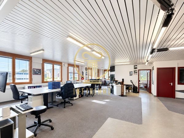 MORGES - Belle opportunité pour votre entreprise : 250 m² modulables avec vue sur le lac 2