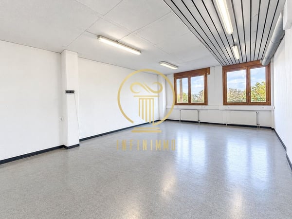 MORGES - Belle opportunité pour votre entreprise : 250 m² modulables avec vue sur le lac 4