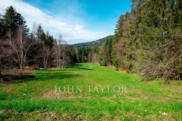 Aperçu de l'image de l'immobilier