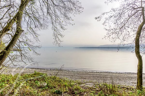 Villa pieds dans l'eau avec parcelle de 7'585m2 4