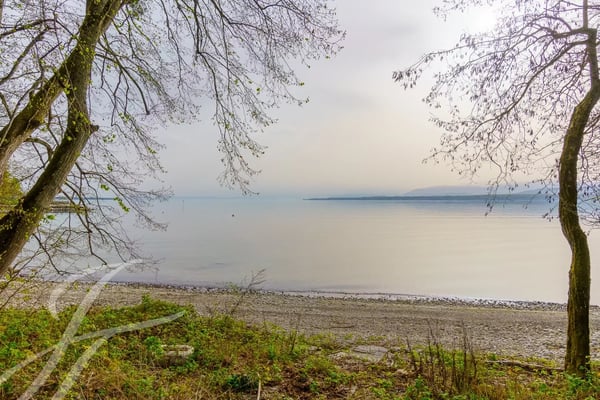 Parcelle de 7'585m2 située les pieds dans l'eau 3