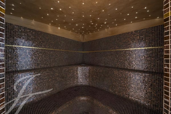 Magnifique propriété de standing avec piscine intérieure ! 6