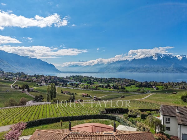 Somptueuse propriété avec vue panoramique sur le lac 6