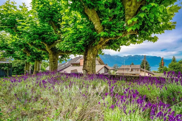 Appartement de 3,5 pièces loué ? Idéal investisseur 8