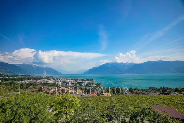 Somptueuse villa au Coeur des vignes avec vue spectaculaire 2
