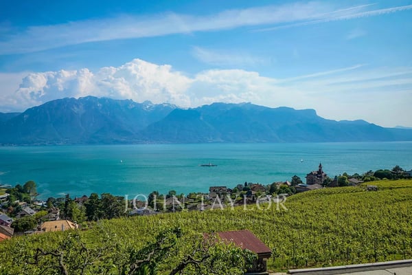 Somptueuse villa au Coeur des vignes avec vue spectaculaire 13