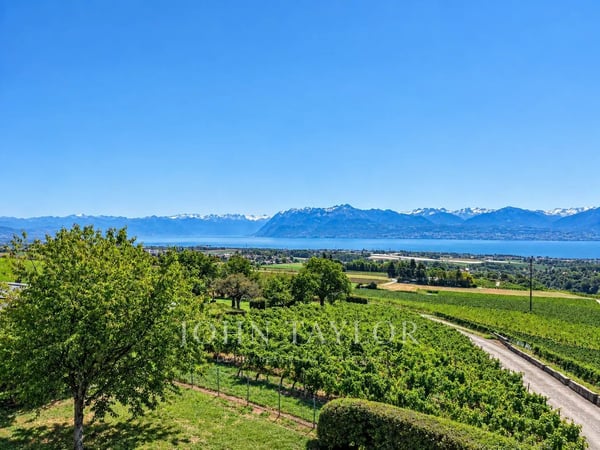 Élégante propriété vigneronne aux volumes spectaculaires 4