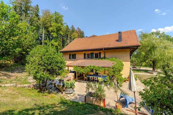 Ferme de 370m2 habitables avec piscine 3