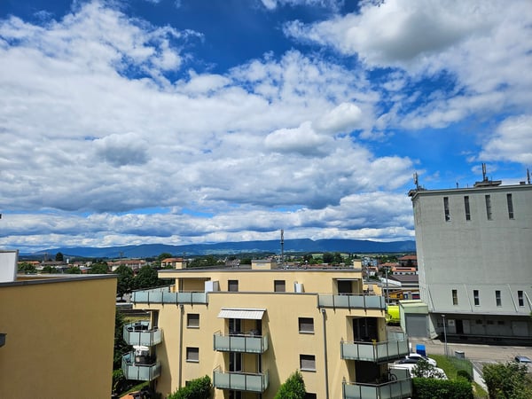 Magnifique et lumineux appartement de 5,5 pièces en duplex 4