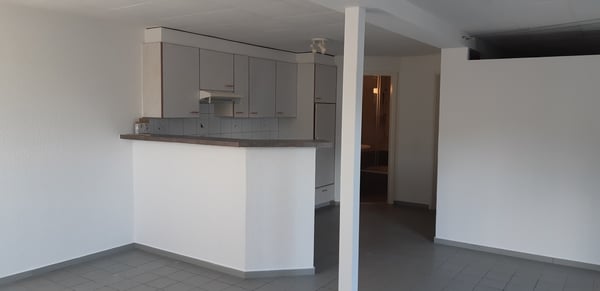 Spacieux appartement de 1 pièce 3