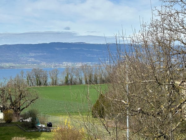 Estavayer / Forel A vendre superbe 3.5 pièces Avec vue lac et Jura 4