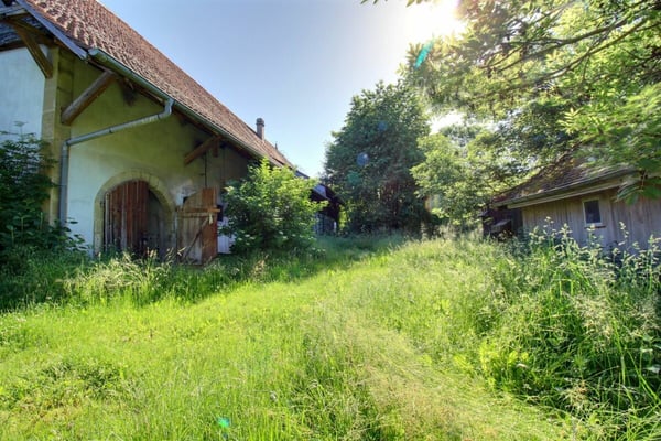 Ferme du Château 3