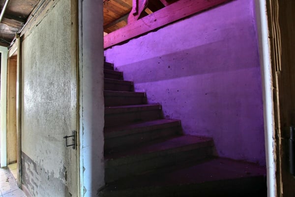 Ferme du Château 33