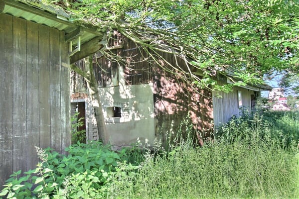 Ferme du Château 7