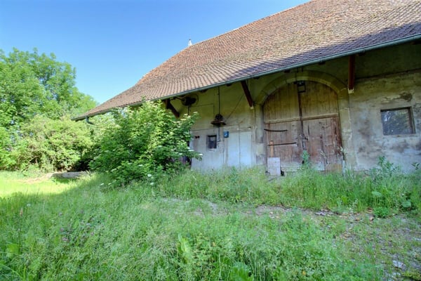 Ferme du Château 12