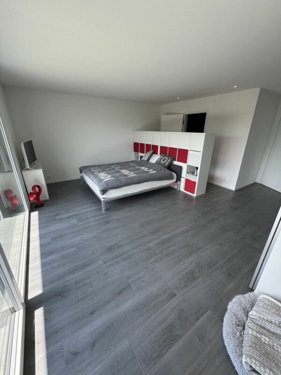 Luxe, espace et sérénité face au Moléson 5