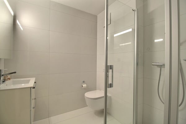 Luxe, espace et sérénité face au Moléson 37