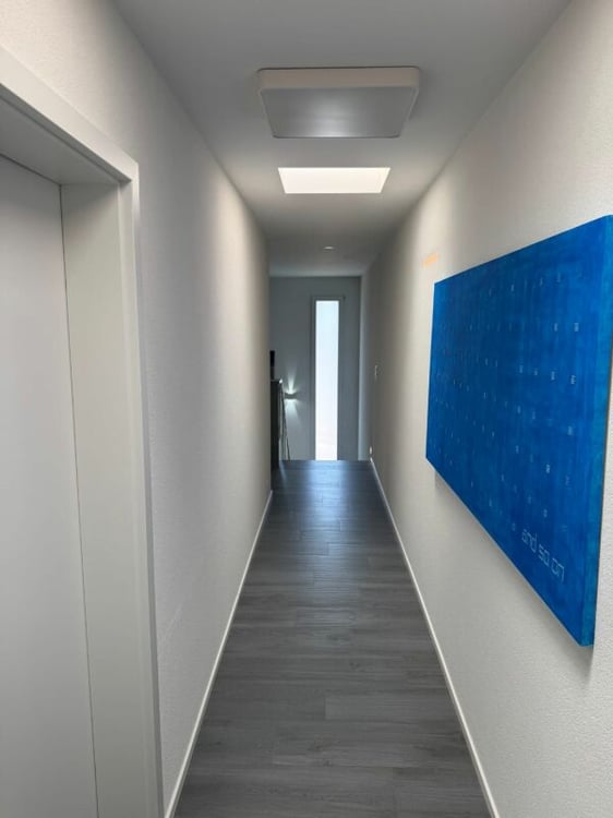 Luxe, espace et sérénité face au Moléson 7
