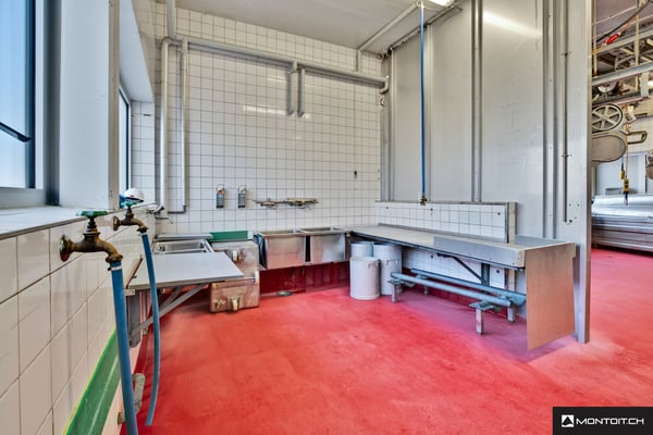 Estavayer-le-Lac, à vendre, bâtiment industriel et artisanal de 200 m2 8