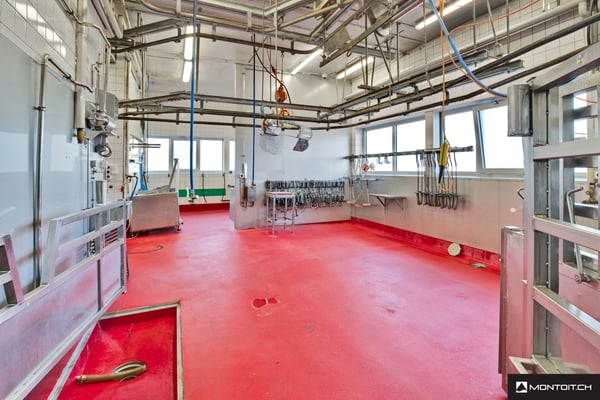 Estavayer-le-Lac, à vendre, bâtiment industriel et artisanal de 200 m2 6