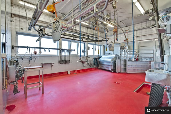 Estavayer-le-Lac, à vendre, bâtiment industriel et artisanal de 200 m2 5