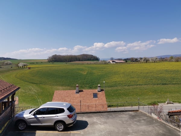 Meine Wohnung. Mein Paradies. 2