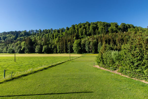 5.5-ZIMMER EINFAMILIENHAUS MIT UNVERBAUBARER AUSSICHT INS GRÜNE 6