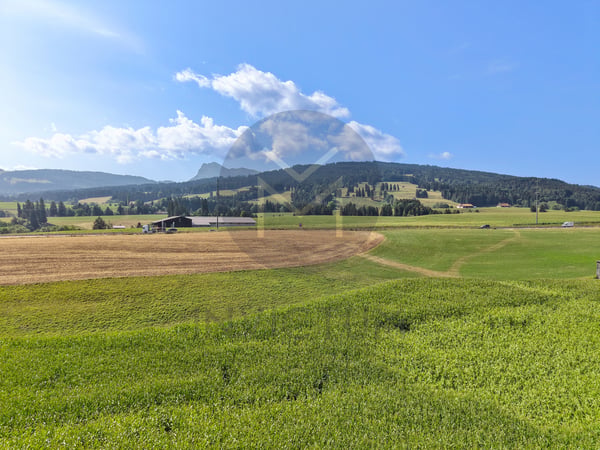 Grand 2.5  - www.loreedumoleson.ch -  130 m2 8