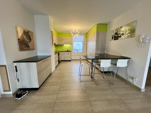 Attique de 1.5 pièces 3