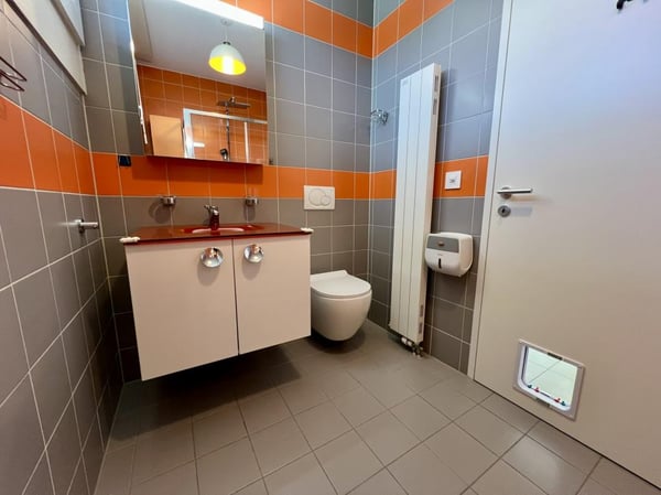 Attique de 1.5 pièces 10