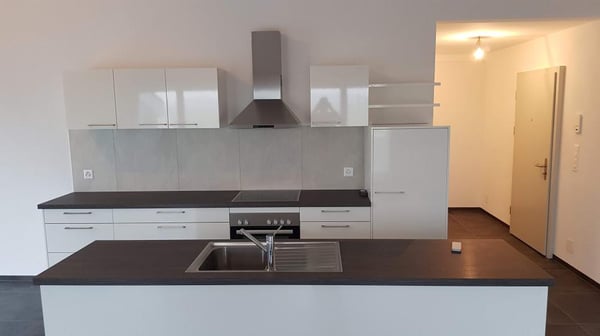 Superbe appartement de 1.5 pièces au 2e étage 3