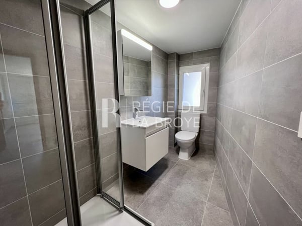 Appartement rénové de 4.5 pièces à Démoret 8